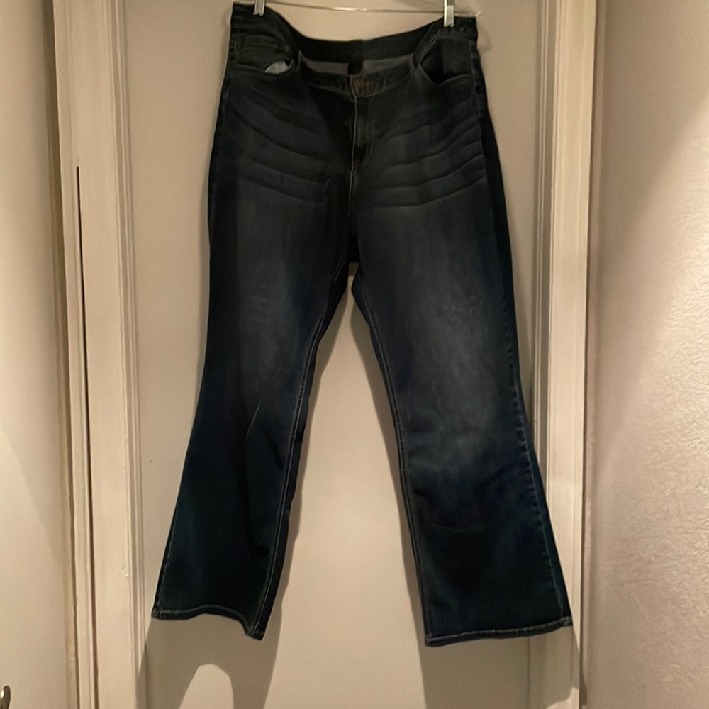 Lane Bryant Jeans